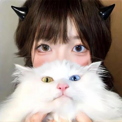 艾莉塔:战斗天使