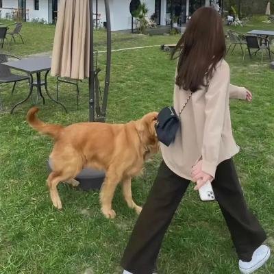 重任在肩 第二季
